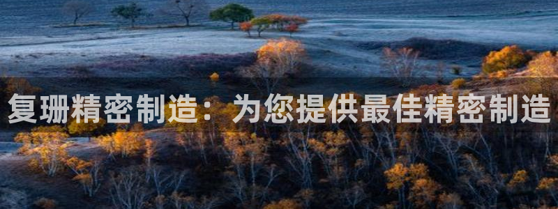 彩神vll购彩大厅大众：复珊精密制造：为您提供最佳精密制造