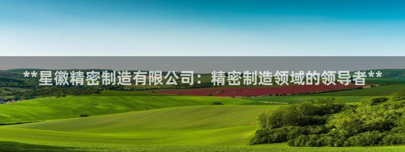 彩神通关注码金码对应码：**星徽精密制造有限公司：精密制造领域的领导者**