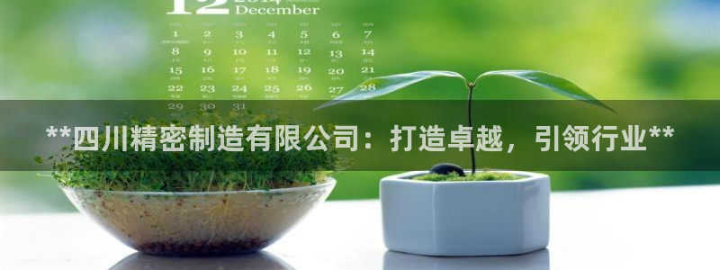 彩神新微聊：**四川精密制造有限公司：打造卓越，引领行业**
