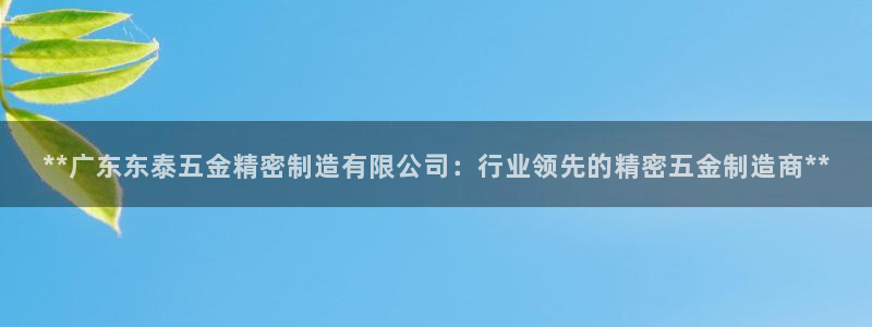 彩神这个平台是真的吗：**广东东泰五金精密制造有限公司：行业领先的精密五金制造商**