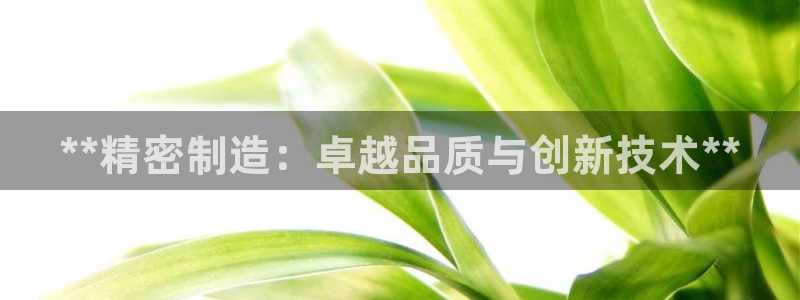 彩神v8是一个什么平台啊：**精密制造：卓越品质与创新技术**