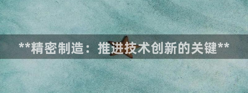 彩神v8手机客户端怎么下载：**精密制造：推进技术创新的关键**