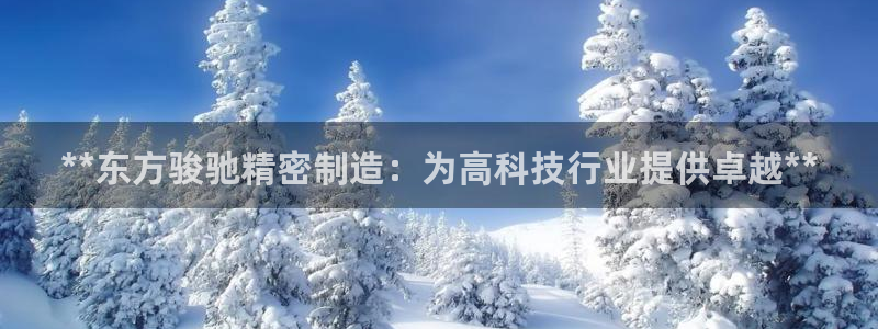 彩神viii官网：**东方骏驰精密制造：为高科技行业提供卓越**