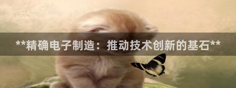 彩神v8下载：**精确电子制造：推动技术创新的基石**