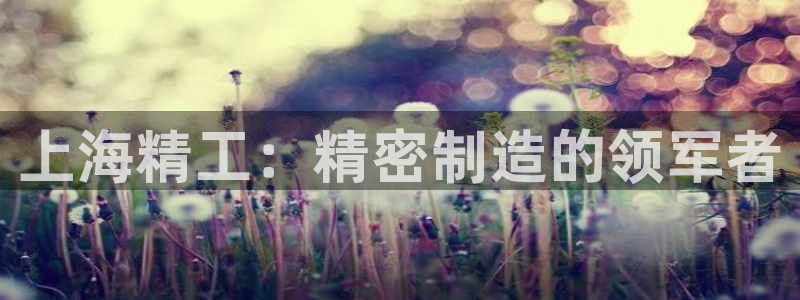 彩神v8是真的挣钱吗：上海精工：精密制造的领军者