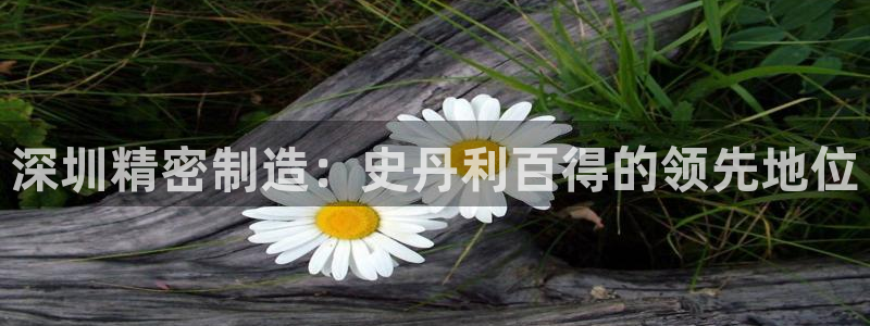 彩神团队是真的吗：深圳精密制造：史丹利百得的领先地位