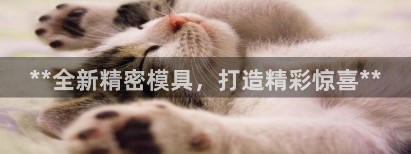 彩神争霸官方登录：**全新精密模具，打造精彩惊喜**