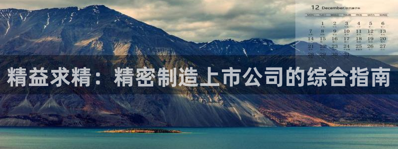 彩神vll首页：精益求精：精密制造上市公司的综合指南