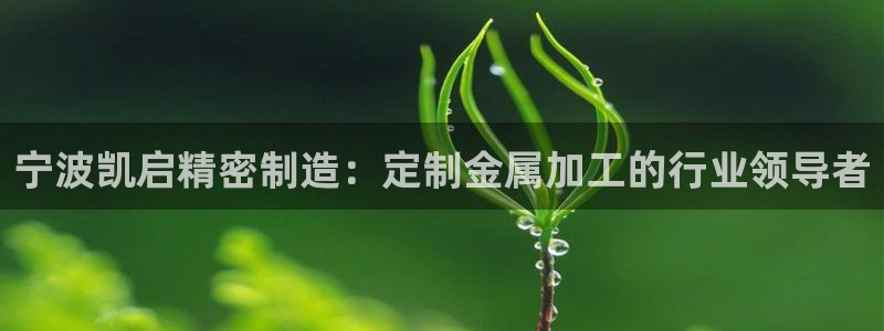 彩神8官网500：宁波凯启精密制造：定制金属加工的行业领导者