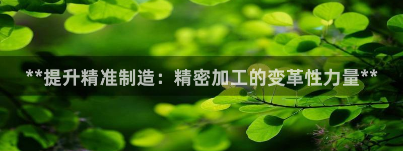 彩神平台能提现吗：**提升精准制造：精密加工的变革性力量**