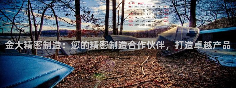 彩神ll能赚钱吗：金大精密制造：您的精密制造合作伙伴，打造卓越产品