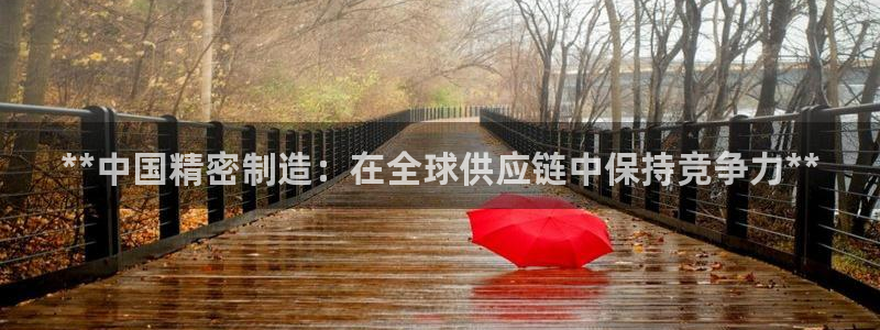 下载彩神通关注金码：**中国精密制造：在全球供应链中保持竞争力**