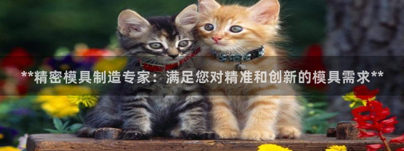 彩神8购彩-购彩大厅：**精密模具制造专家：满足您对精准和创新的模具需求**