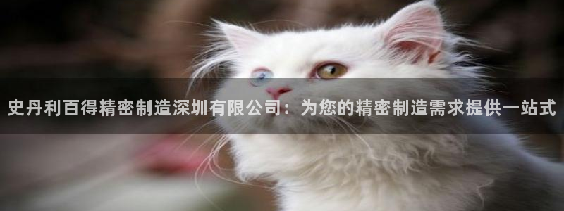 彩神v8手机客户端怎么下载：史丹利百得精密制造深圳有限公司：为您的精密制造需求提供一站式