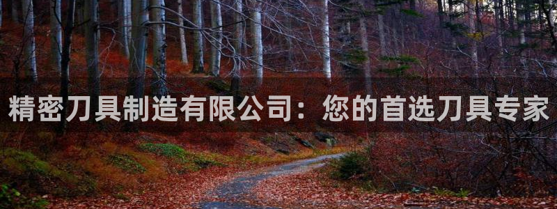 彩神大发cp：精密刀具制造有限公司：您的首选刀具专家