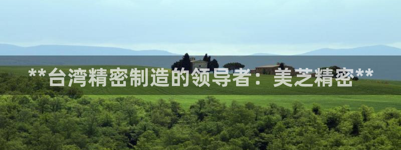彩神ix可靠吗：**台湾精密制造的领导者：美芝精密**