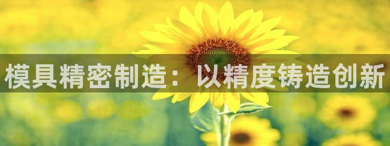 彩神系列平台：模具精密制造：以精度铸造创新
