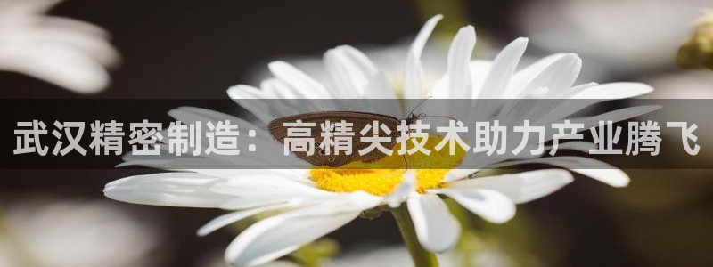 彩神怎么才能赢：武汉精密制造：高精尖技术助力产业腾飞