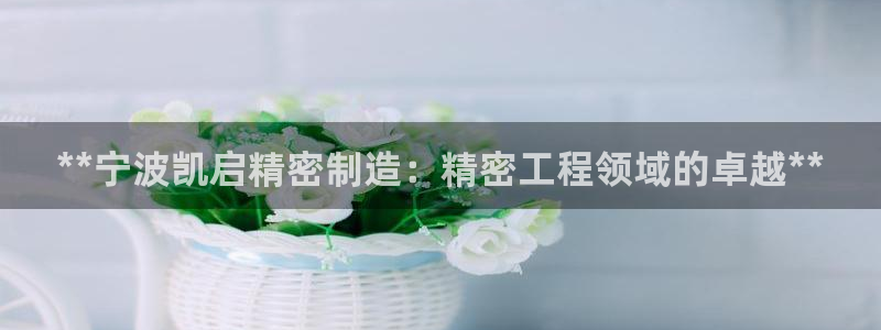 有谁知道彩神争霸的网址：**宁波凯启精密制造：精密工程领域的卓越**