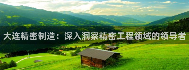 彩神是什么平台的游戏：大连精密制造：深入洞察精密工程领域的领导者