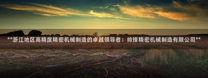 彩神是正规平台吗是真的吗：**浙江地区高精度精密机械制造的卓越领导者：帅锋精密机械制造有限公司**