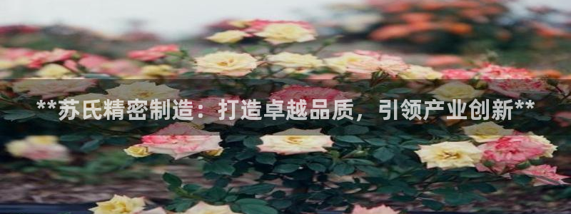 彩神v8有多久了?靠谱吗