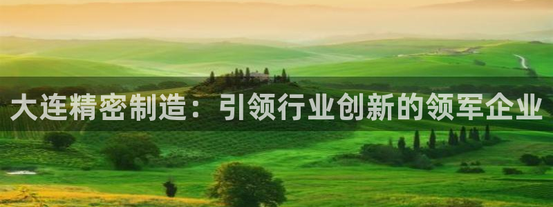 彩神赢钱了吗是真的吗：大连精密制造：引领行业创新的领军企业
