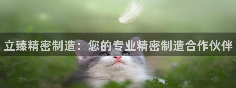 彩神v8是一个什么平台游戏：立臻精密制造：您的专业精密制造合作伙伴