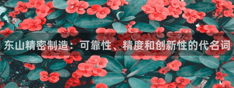 下载彩神v8：东山精密制造：可靠性、精度和创新性的代名词