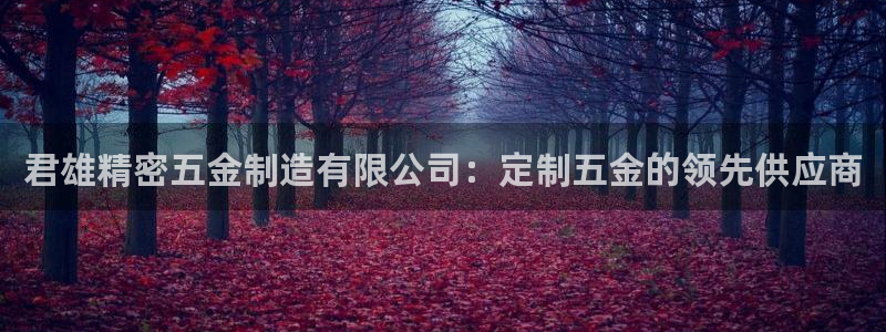 彩神骗局：君雄精密五金制造有限公司：定制五金的领先供应商