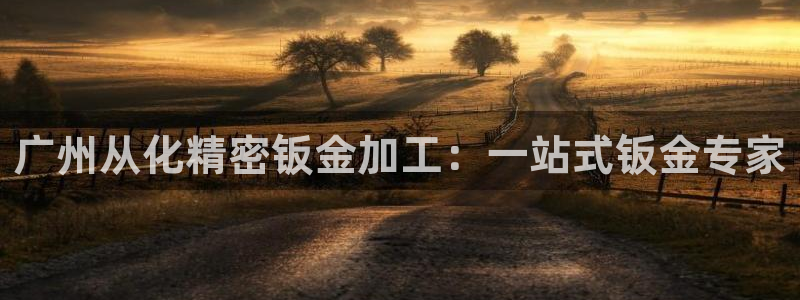 所有彩神购买首页都一样吗