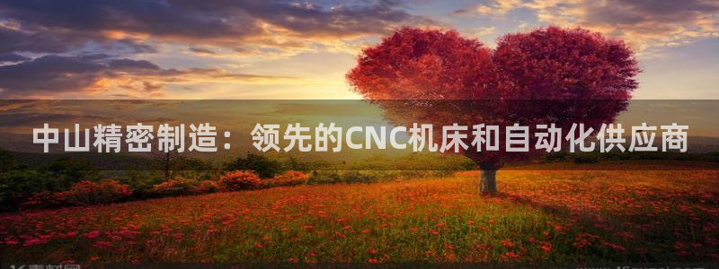 彩神8官网下