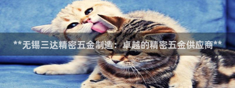 彩神是正规平台吗安全吗