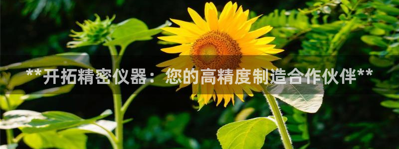 彩神iv能赚钱吗