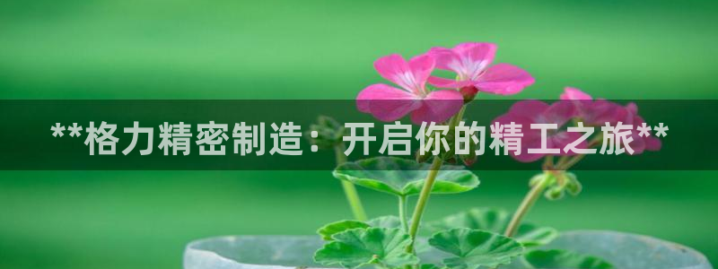 彩神怎么才能赢