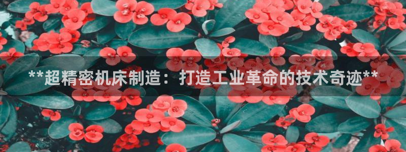 彩神8是正规平台吗是正品吗
