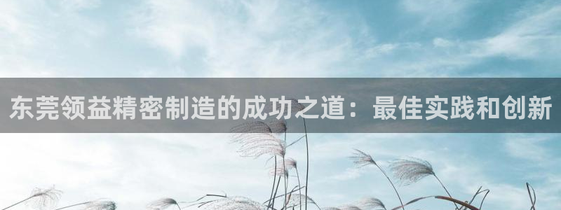 彩神V集团有限公司