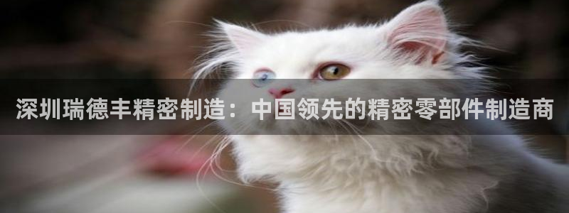 彩神vip购彩