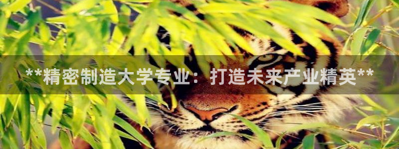 天天赢彩神