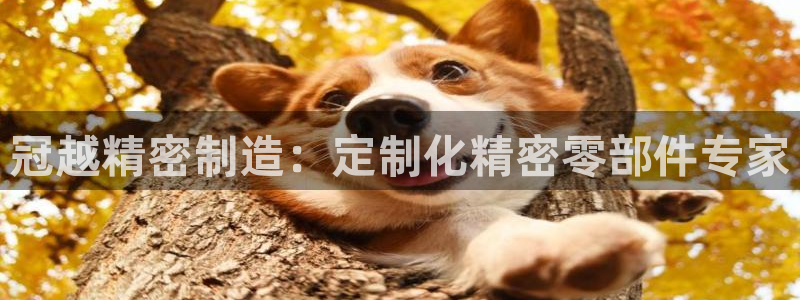 彩神ix官网是哪个公司的