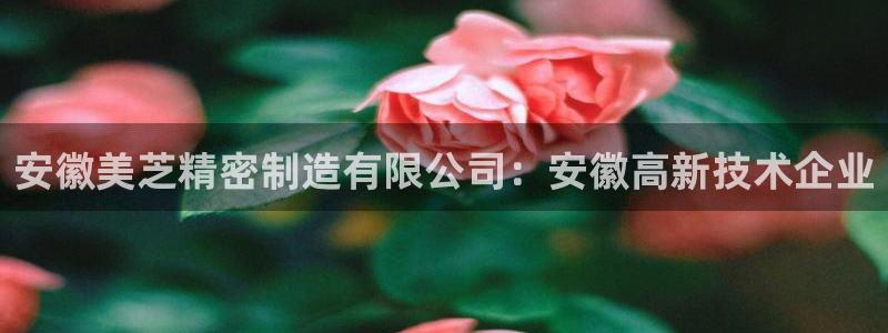 彩神vllⅰ购彩大厅