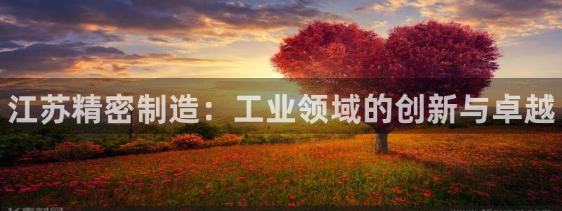 彩神赢的钱是哪里来的啊