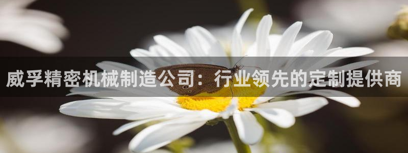 彩神v8平台正规吗知乎