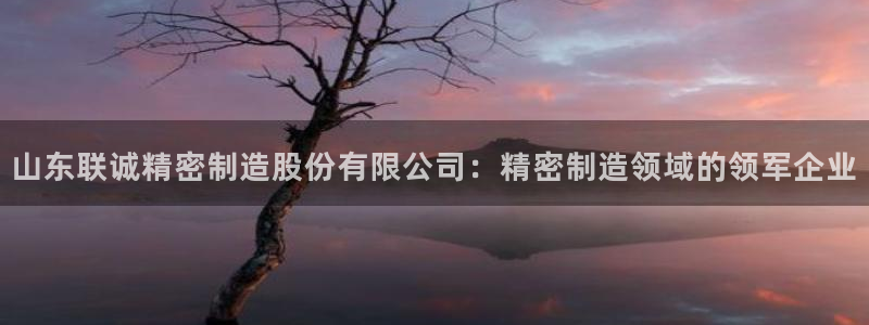 彩神赢的钱是哪里来的啊：山东联诚精密制造股份有限公司：精密制造领域的领军企业