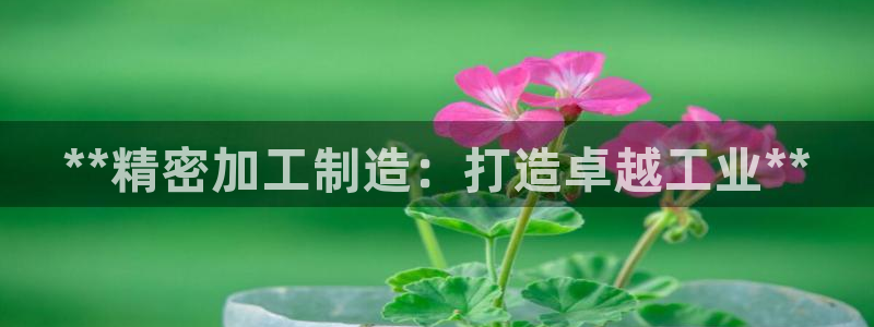 彩神v破解版：**精密加工制造：打造卓越工业**