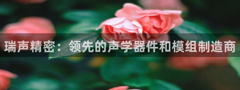彩神v1官网：瑞声精密：领先的声学器件和模组制造商