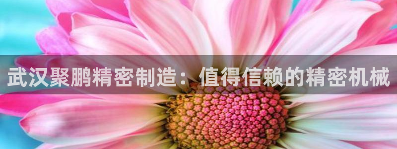 彩神网可以赚钱是真的吗：武汉聚鹏精密制造：值得信赖的精密机械