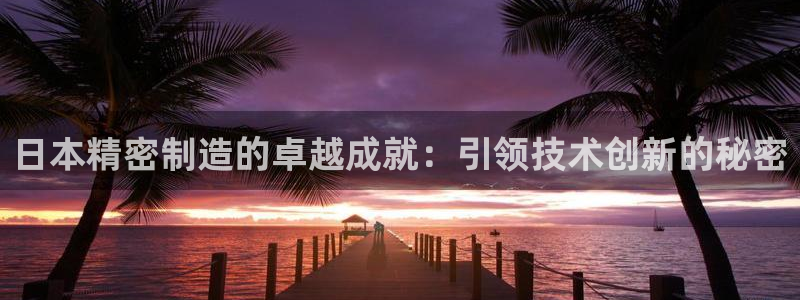 彩神8彩平台客服：日本精密制造的卓越成就：引领技术创新的秘密