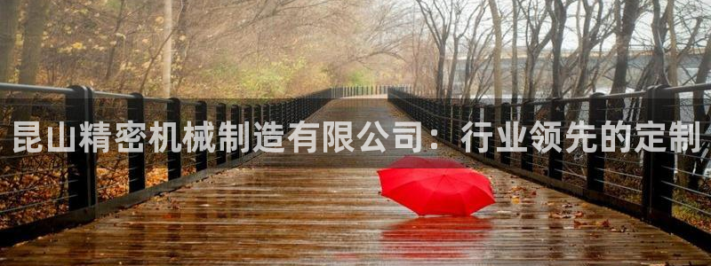 彩神购彩-购彩大厅入口下载：昆山精密机械制造有限公司：行业领先的定制