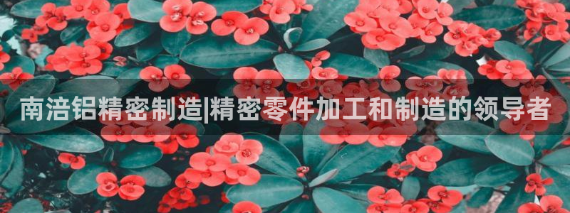 彩神v8首页：南涪铝精密制造|精密零件加工和制造的领导者